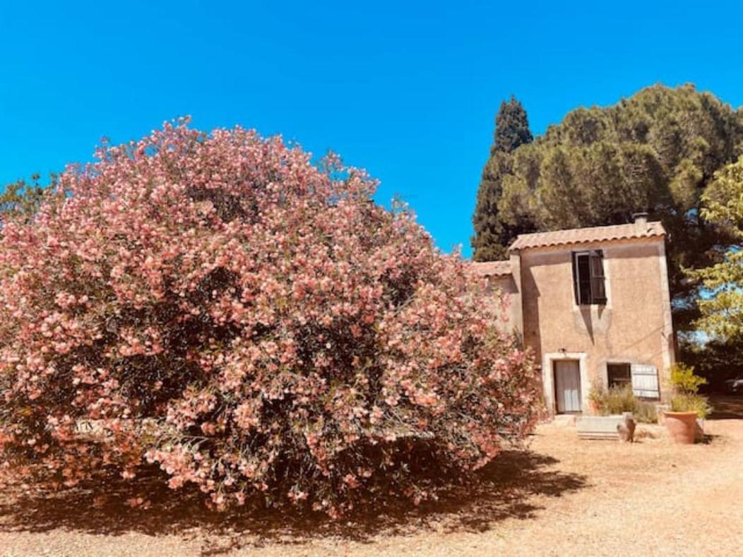 Casa Cote Sud - Mas Bois Fontaine Villa Ним Екстериор снимка